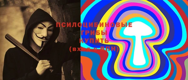 дживик Елизово