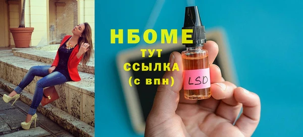 мдпв Дмитриев