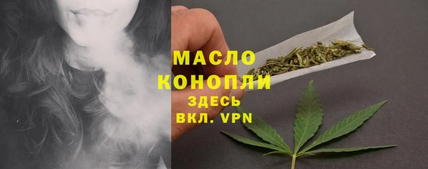 мдпв Дмитриев