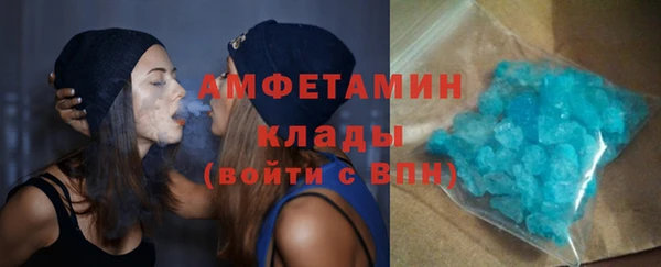 мдпв Дмитриев
