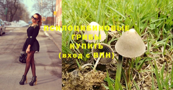 мдпв Дмитриев