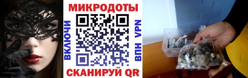Псилоцибиновые грибы Cubensis  Красноярск 